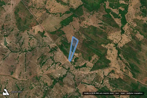 Imagem de satélite de FAZENDA MANOEL GONÇALVES DA CÂMARA OU CAPEBA - GLEBA 08 em Crixás - GO