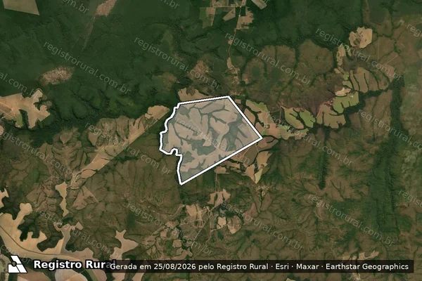 Imagem de satélite de FAZENDA DOURADOS em Santa Rita do Trivelato - MT