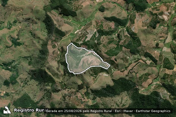 Imagem de satélite de FAZENDA PAULINA - 001 em Caiana - MG