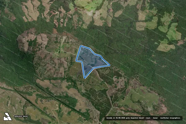 Imagem de satélite de FAZENDA PURUNÃ em Campo Largo - PR