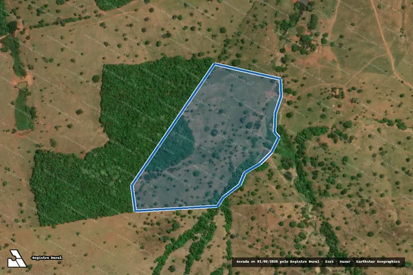Imagem de satélite de FAZENDA MACACOS DENOMINADO VERTENTE RICA E CAPÃO DO LOBO - Parcela 1 em Morrinhos - GO