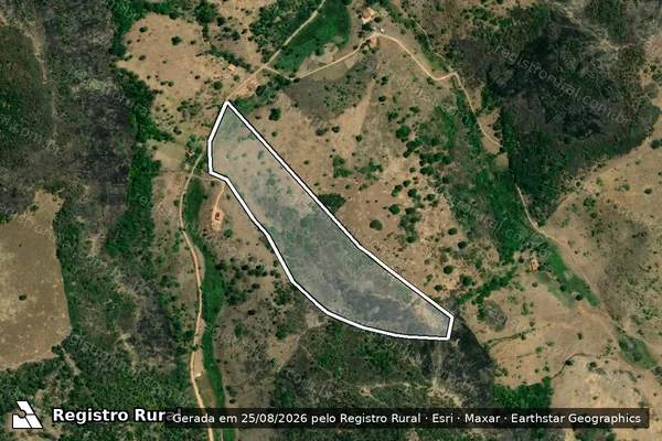 Imagem de satélite de FAZENDA PALMEIRINHA - Gleba 04 em Carlos Chagas - MG