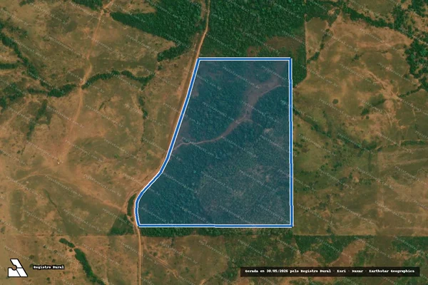 Imagem de satélite de LOTE RURAL 65, DA GLEBA 01, SETOR RIO BRANCO V - SÍTIO NOSSA SENHORA DO LIVRAMENTO - LOTE RURAL 65, DA GLEBA 01, SETOR RIO BRANCO V - SÍTIO NOSSA SENHORA DO LIVRAMENTO ? PARTE B em Alta Floresta D'Oeste - RO