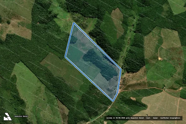 Imagem de satélite de Fazenda Dois Irmãos / Parcela 1