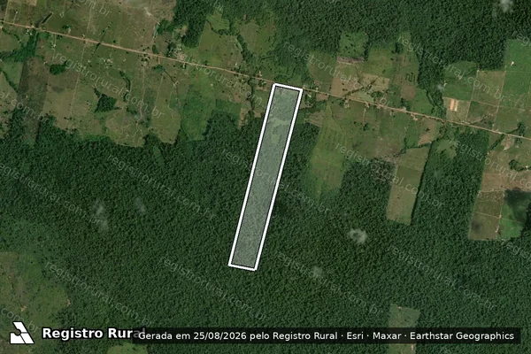 Imagem de satélite de PA_Monte_Sinai_Lote 178_TD-129382 - Parte 1 em Rorainópolis - RR