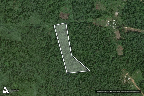 Imagem de satélite de PARCELAS GLEBA UAUPÉS - LOTE 534 em São Gabriel da Cachoeira - AM