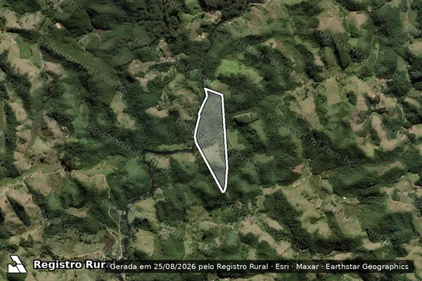 Imagem de satélite de Fazenda Santa Amelia - Área 5 em Natividade da Serra - SP