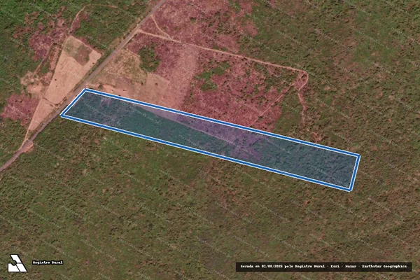 Imagem de satélite de TINGUIS - Parcela 1 em Flores do Piauí - PI