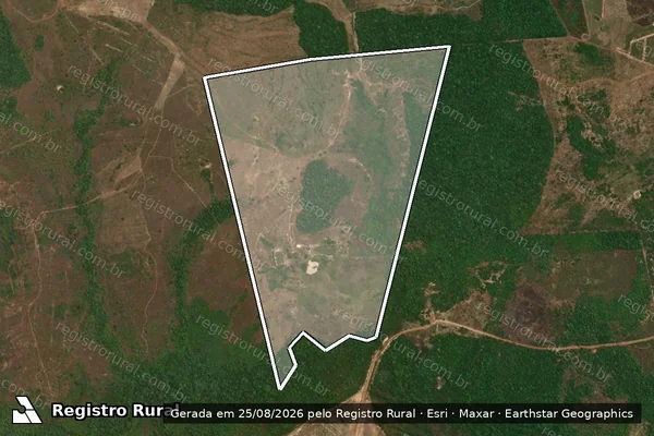 Imagem de satélite de FAZENDA MAANAIM - 001 em Conceição do Araguaia - PA