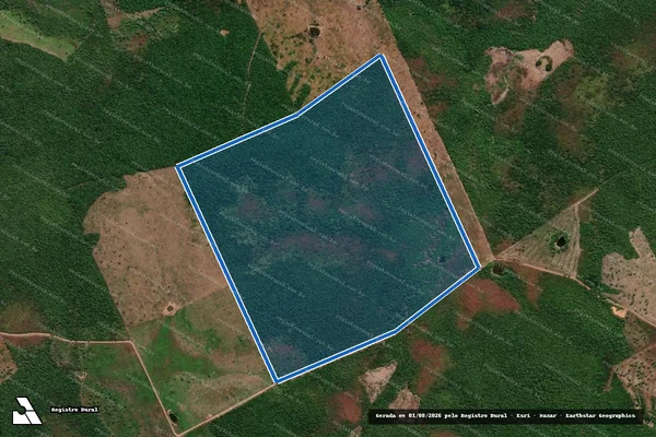 Imagem de satélite de DATA MONTEVIDEU - Parte 2 em Senador Alexandre Costa - MA