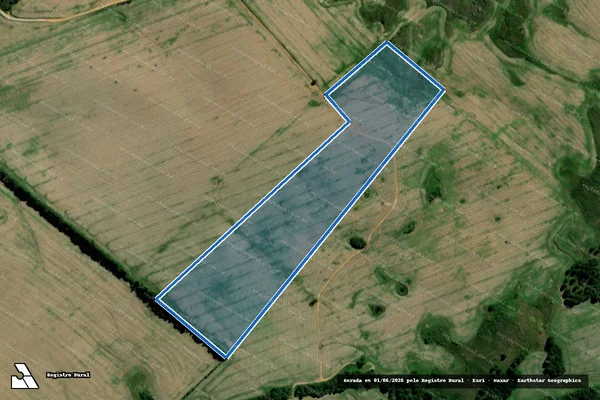 Imagem de satélite de FAZENDA CAPÃO BONITO - 001 em Palmeira - PR