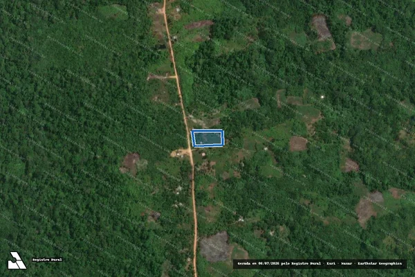 Imagem de satélite de PARCELAS GLEBA UAUPÉS - LOTE 235 em São Gabriel da Cachoeira - AM