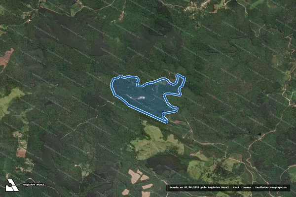 Imagem de satélite de Reserva Natural Alpinista Waldemar Niclevicz - RNAWN - Parcela 1 em Campo Largo - PR
