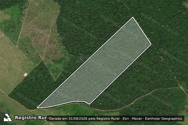 Imagem de satélite de LOTE 246 - FAZENDA CAPIM VERDE