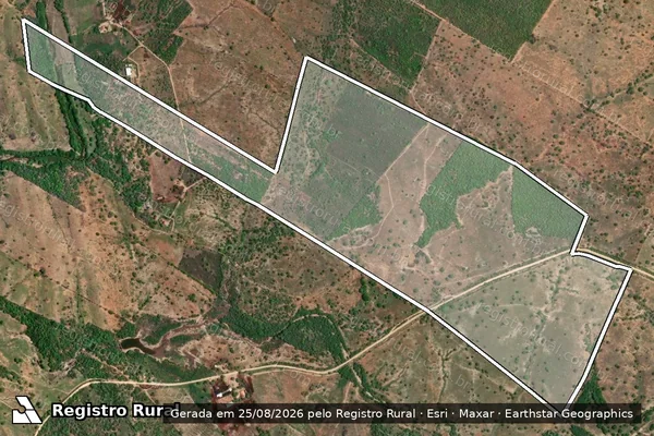Imagem de satélite de Fazenda Gameleira - FAZENDA GAMELEIRA em Pedra - PE