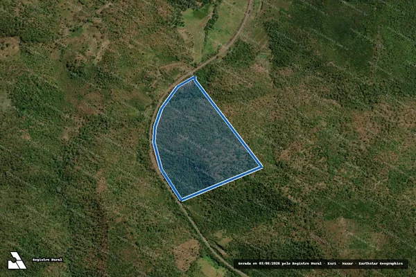 Imagem de satélite de FAZENDA DELBRISA - FAZENDA DELBRISA em Colinas - MA