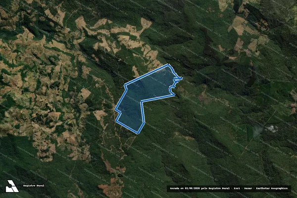 Imagem de satélite de Fazenda Rio das Pedras - Única em Coronel Domingos Soares - PR