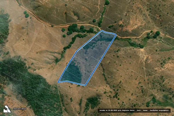 Imagem de satélite de FAZENDA PALMITAL - 001 em Fernandes Tourinho - MG