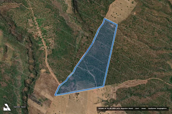 Imagem de satélite de FAZENDA CHAPADINHA - FAZENDA CHAPADINHA em Ribeiro Gonçalves - PI