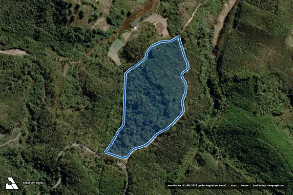Imagem de satélite de Fazenda Alegria - PARCELA 05 em Delfim Moreira - MG