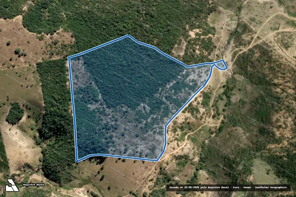 Imagem de satélite de FAZENDA ALTAMIRA / Parte 1