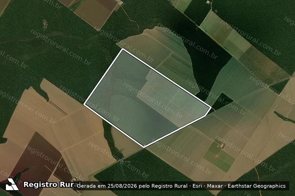 Imagem de satélite de FAZENDA FORTES - GLEBA A - FAZENDA FORTES ? GLEBA A em Santa Carmem - MT
