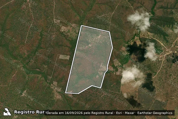 Imagem de satélite de TORA DE PAU - TORA DE PAU em São Francisco do Maranhão - MA