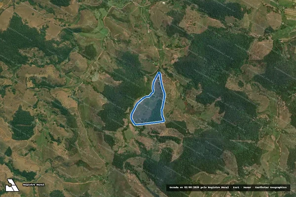 Imagem de satélite de SITIO SEBASTIÃO ROSA - Gleba 1 em Leopoldina - MG