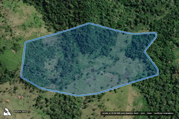 Imagem de satélite de FAZENDA SALOMÉIA - Parte 1 em Floresta Azul - BA