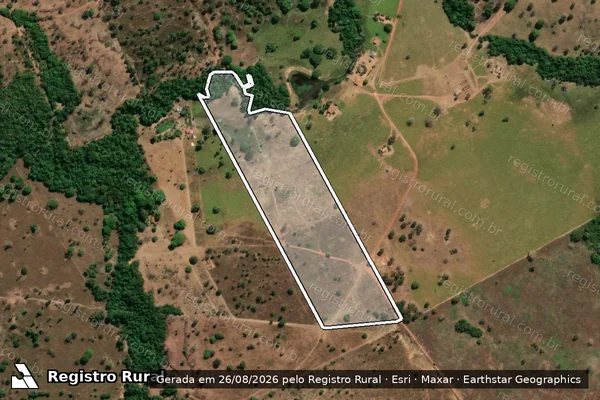 Imagem de satélite de FAZENDA TIUBA - Gleba 1 em São Miguel do Araguaia - GO