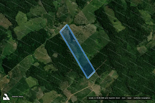 Imagem de satélite de LOTE 383 - PA RIO CURURUÍ - GLEBA TUERÊ - Parte 1 em Pacajá - PA