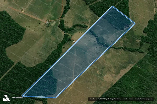 Imagem de satélite de Lote 24, Gleba 01 ? Corumbiara, Setor Barão de Melgaço - Lote 24, Gl 01, Parcela Pimenta Bueno em Pimenta Bueno - RO