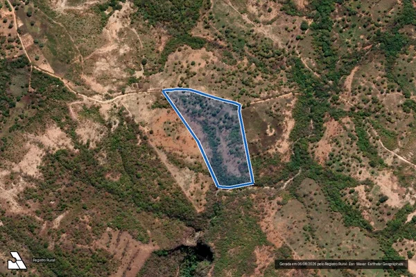 Imagem de satélite de Fazenda Flores / Parte 01