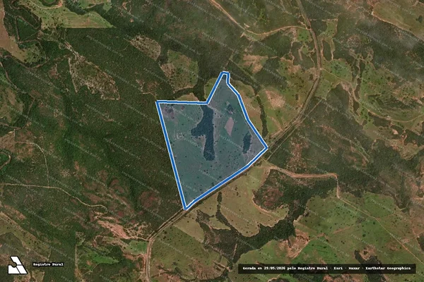 Imagem de satélite de FAZENDA ARAGUAINHA - FAZ. ARAGUAINHA em Alto Araguaia - MT