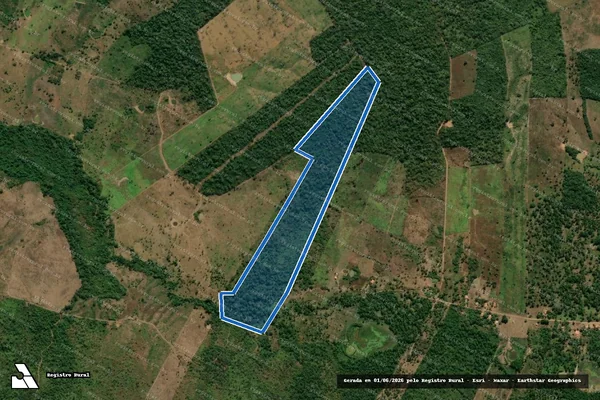 Imagem de satélite de FAZENDA FORMOSO - 04 em Santa Filomena do Maranhão - MA