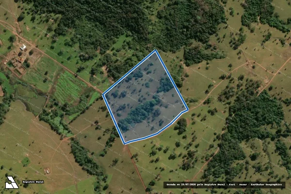 Imagem de satélite de FAZENDA MÃEZINHA DO CÉU - ÁREA DESMEMBRADA em Caturaí - GO