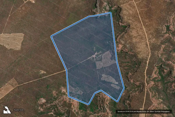Imagem de satélite de Brejo Novo - Parte 1 em Palmeira do Piauí - PI