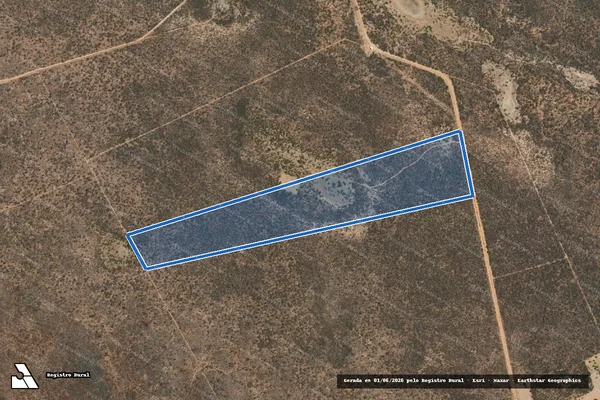Imagem de satélite de BOM RETIRO DA DATA CURRAL DO CAMPO - ÁREA DESMEMBRADA 03 em Dom Inocêncio - PI