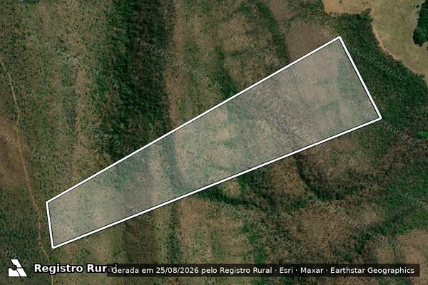 Imagem de satélite de FAZENDA MALTIZARIA DOS ESPÍNDOLAS - QUINHÃO 02-B em Formosa - GO
