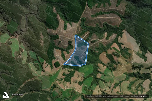 Imagem de satélite de Alegria do Rio do Peixe - Alegria do Rio do Peixe em Arapoti - PR