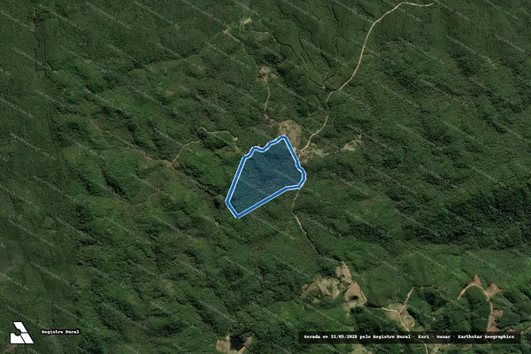Imagem de satélite de Matricula n° 1338 - Gleba 1 em Bocaiúva do Sul - PR