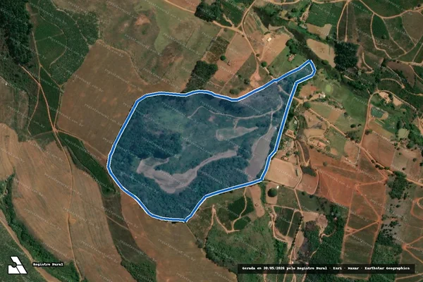 Imagem de satélite de SITIO GREGORIO - PARCELA ÚNICA em Cajuri - MG