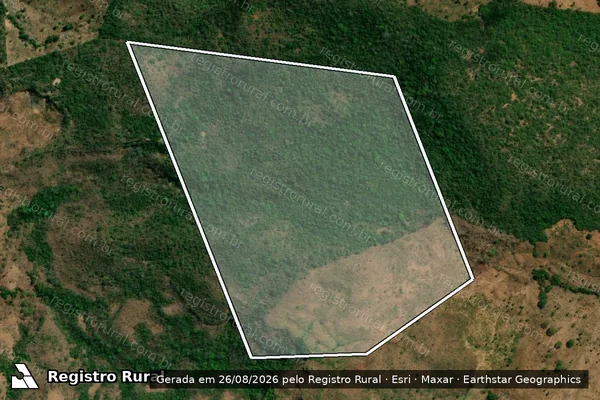 Imagem de satélite de FAZENDA LIMPEZA - FAZENDA PEDRA BRANCA em Formosa da Serra Negra - MA