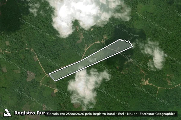 Imagem de satélite de SÍTIO SÃO JOSÉ - Área 1 em Acará - PA