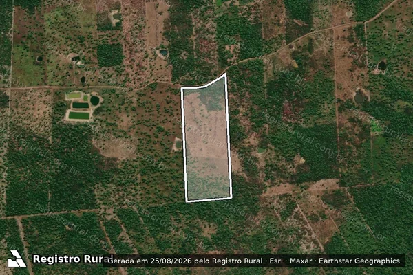 Imagem de satélite de PA TIMBAUBA – LOTE 38 / LOTE 38