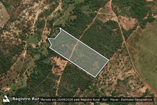 Imagem de satélite de FAZENDA PALMEIRAS - 001 em Arinos - MG