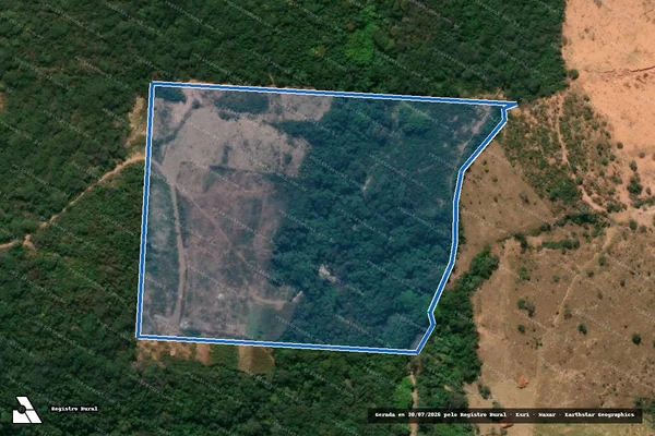 Imagem de satélite de FAZENDA CAPÃO DO PINTO - Fazenda Capão do Pinto 12 em Pitangui - MG