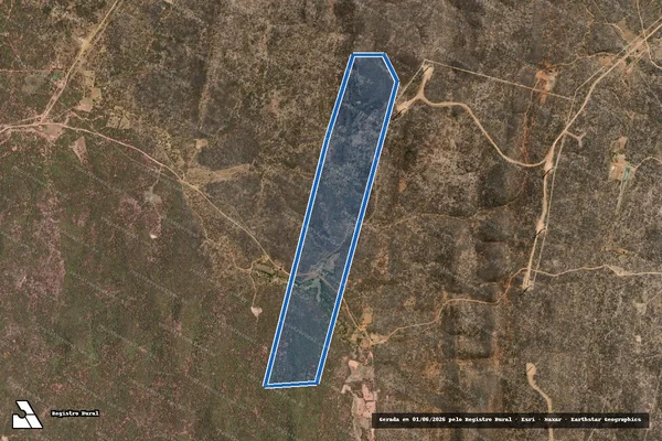 Imagem de satélite de FAZENDA CAGADOS - ADAILTON DIAS DE SOUZA em Dom Inocêncio - PI