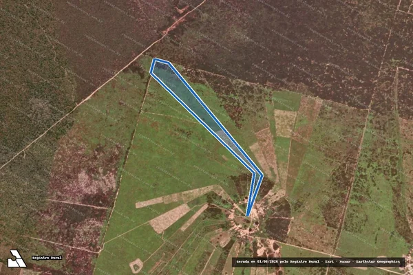 Imagem de satélite de FAZENDA VALE DO GURGUÉIA/CAJUNORTE - Célula D - Lote 18 em Canto do Buriti - PI