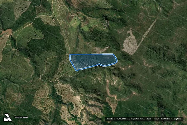 Imagem de satélite de FAZENDA PARAÍSO DO SOL em Jequitinhonha - MG